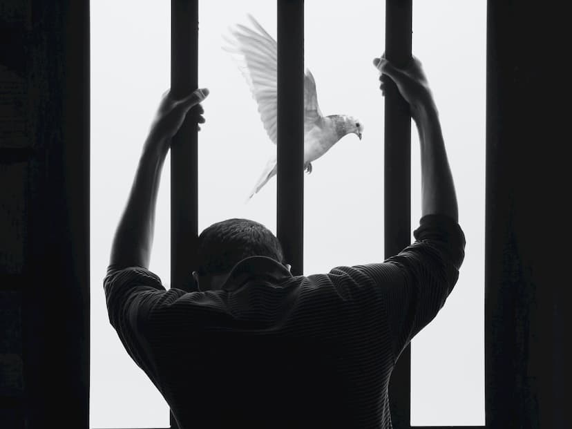 Surviving Injustice