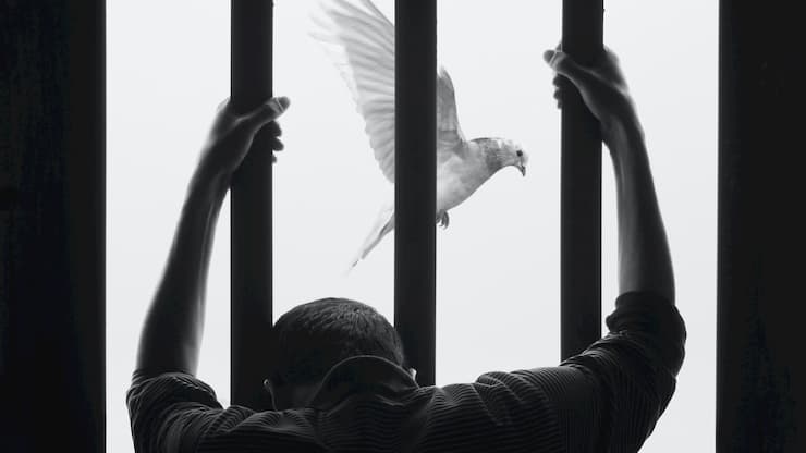 Surviving Injustice